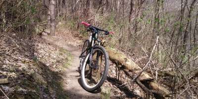 beginner fat bike