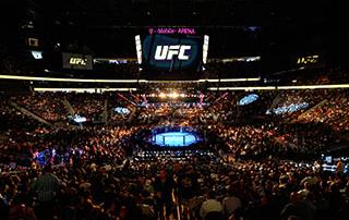 UFC Arena