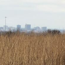 Top 3 In-City Escapes in Topeka