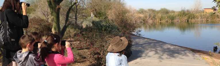 Family Bird Walk at Veterans Oasis Park