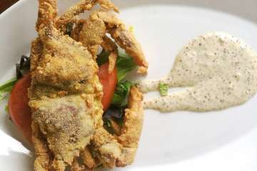 Seafood Restaurants On The Outer Banks Nc Seafood Restaurants