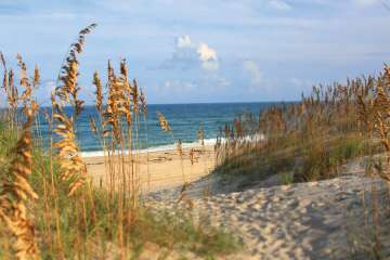 Handicap Accessibility The Outer Banks Nc Beach Wheelchairs Handicap Accessibility The Outer Banks Nc Beach Wheelchairs North Carolina