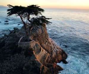 Pebble Beach Golf Hotels Restaurants Experience Pebble Beach