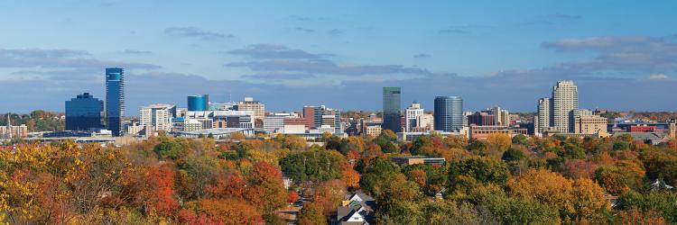 Grand Rapids Skyline - Fall Trees turning fall colors with the Grand Rapids skyline in the background