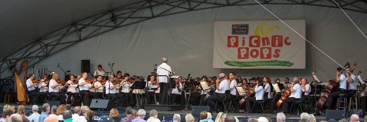Marcelo Lehninger debuts at D&W Fresh Market Picnic Pops with Classical Fireworks!