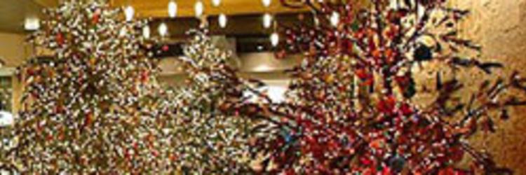 MEIJER GARDENS CELEBRATES THE HOLIDAYS WITH MORE THAN 40 ...