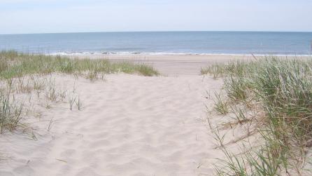 New York Beaches Swimming State Tourism Amazing New York Beaches