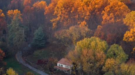 Fall Foliage - Unique Ways