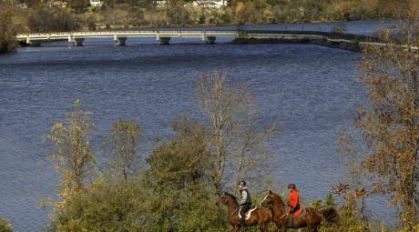 Fall Foliage - Unique Ways - Horseback