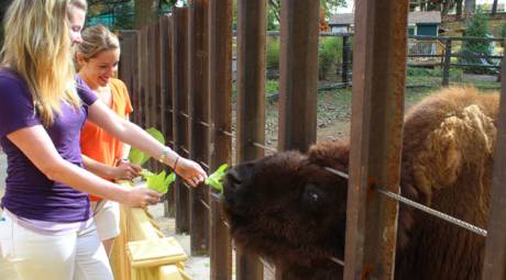 Valley Forge Park Nearby Attractions - Elmwood Park Zoo