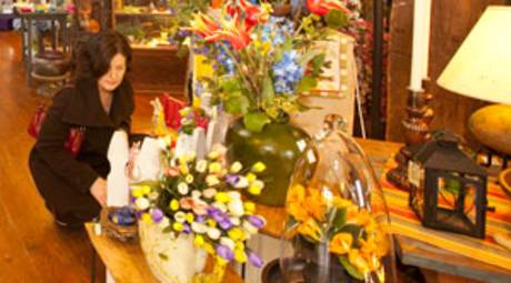 SPRING FESTIVALS - SPRING OPEN HOUSE