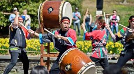 SPRING FESTIVALS - JAPANESE CHERRY BLOSSOM FESTIVAL