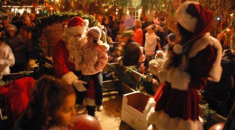Skippack Tree Lighting
