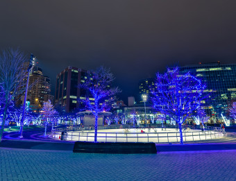 Holiday lights display surrounding Rosa Parks Circle skating rink