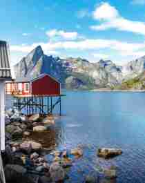 View from a window in Lofoten