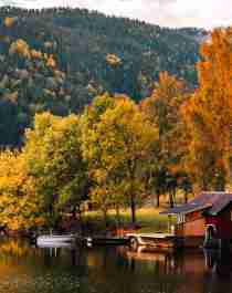 Fyresdal in Telemark, in autumn colors