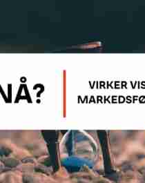 Video Thumbnail - vimeo - Virker VisitN Norways markedsføringsarbeid?