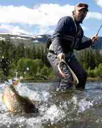 A man catching a fish in a river in Hemsedal, Eastern Norway