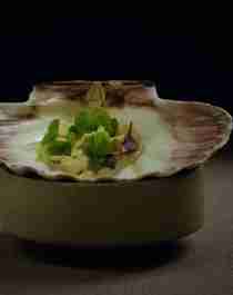 A small dish of food in a seashell at the Norwegian Michelin restaurant Fagn in Trondheim