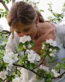 En kvinne lukter på epleblomstene i Hardanger i Norge om våren