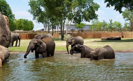 Sedgwick County Zoo