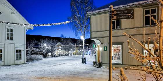 Nesbyen - Offisiell reiseguide fra Nesbyen Turistkontor