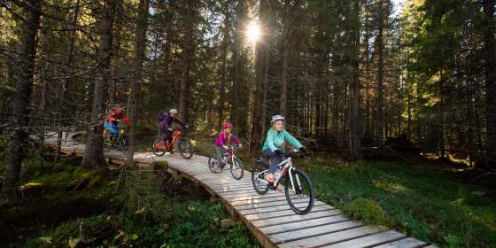 A family of four is biking through the woods in Trysil bike arena in Trysil, Eastern Norway.