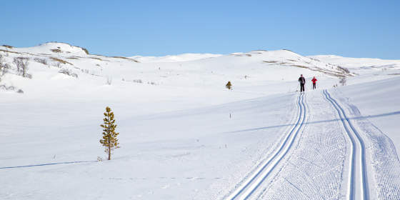 Winter activities in Nesbyen
