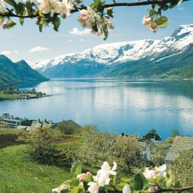 Fjord Tours Official Travel Guide To Norway Visitnorway Com