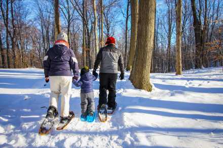 Winter Things To Do In Grand Rapids Winter Events Attractions