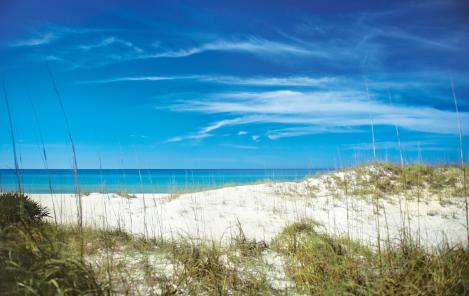 Shell Island Panama City Beach Parks Nature History There Is Still An Amazingly Pristine Uninhabited Island Just Waiting To Be Explored Shell A Barrier 7 Mile Stretch Of Undeveloped Land