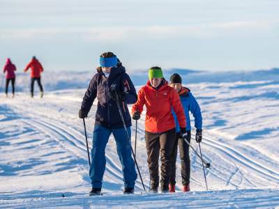 Cross-country skiers in Valdres, Eastern Norway