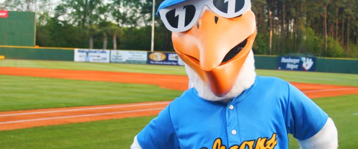Myrtle Beach Pelicans 2018 To Be A Winning Season Visit Regardless Of The Success Myrtle Beach Pelicans Ball Players On Field 2018 Already Looks Like A Win For Anyone Looking To Entertain Their Family