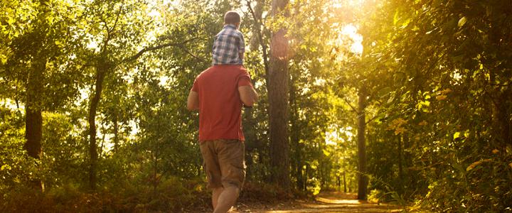 8 Family Friendly Trails In Va Beach 8 Family Friendly Trails In Virginia Beach