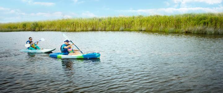 Locals Guide To The Great Outdoors In Va Beach