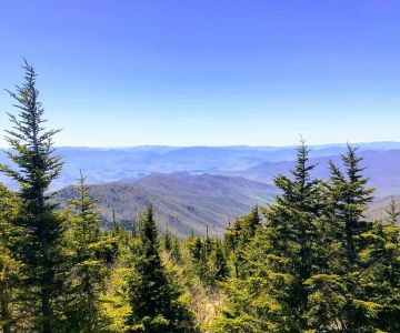 Hiking And Walking Trails Things To Do In Knoxville Tennessee Great Smoky Mountains National