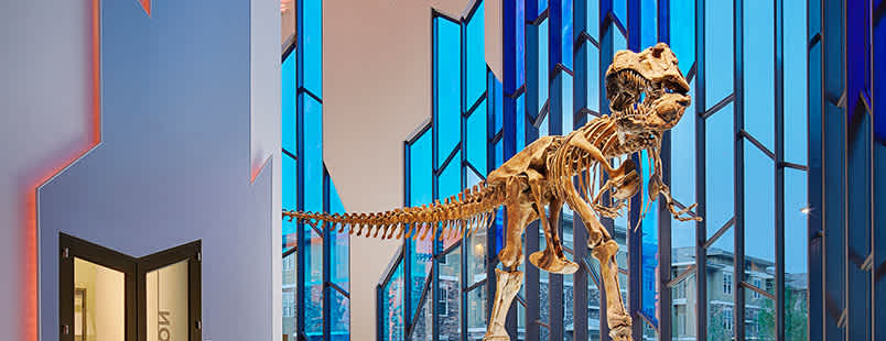 Take-a-Vacation-to-See-the-T-Rex-at-The-Museum-at-Prairiefire-in-Overland-Park Take-a-Vacation-to-See-the-T-Rex-at-The-Museum-at-Prairiefire-in-Overland-Park