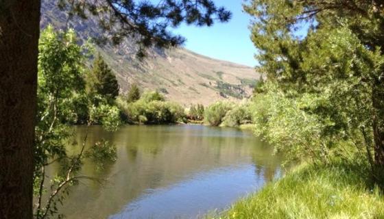 Blacks Pond