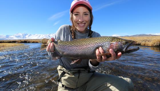 Owens River Rainbow