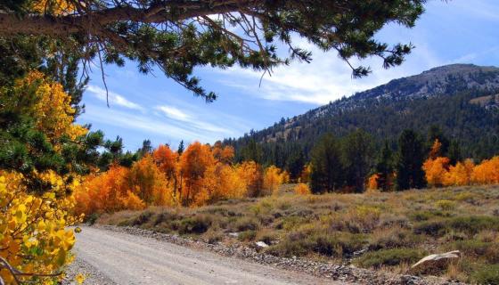 Green Creek Road