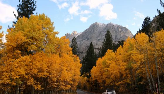 June Lake Loop