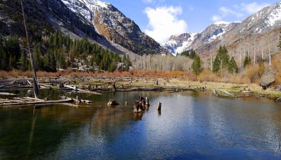 Lundy Canyon Beaver Ponds
