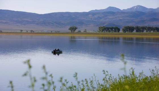 Fishing at Topaz Lake