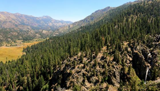 Leavitt Falls