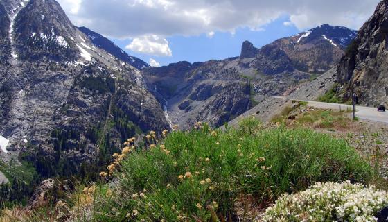 Tioga Pass Road
