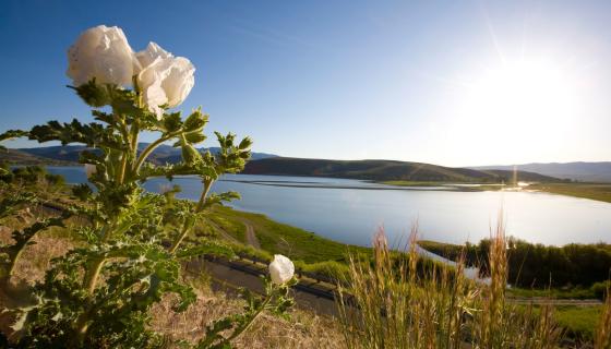 Topaz Lake