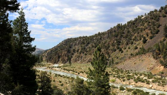 West walker river and canyon