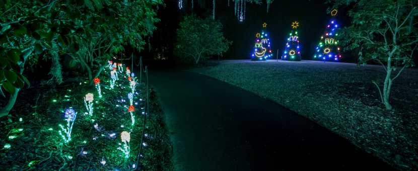 Wilmington Nc S Holiday Season Winter Events Flotillas Enchanted Airle