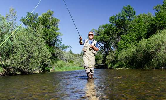 Fishing Fly In New Mexico Lakes Rivers Streams Fishing