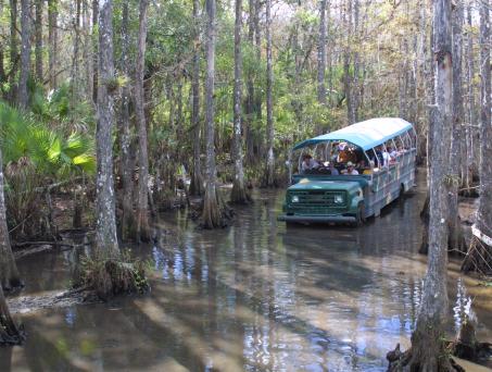 Things To Do In Englewood Beach Amp Punta Gorda Florida